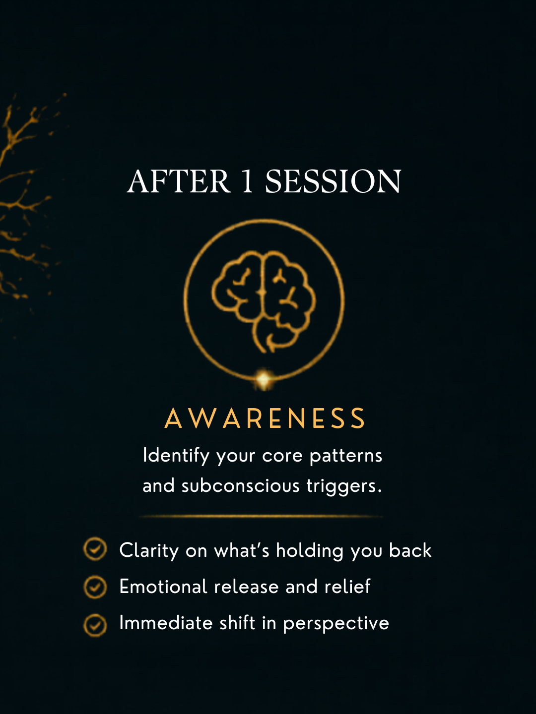 NeuroSelf Single Session mental health support session with a therapist showing a caring interaction in a comfortable setting.